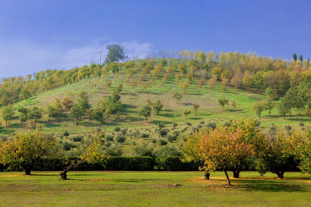 Ca' Malvasia - Bolognarooms Montecchio  Bagian luar foto
